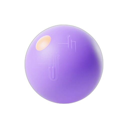 Circuit Soft